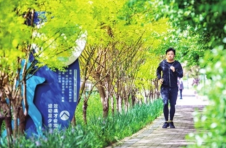 天津河西区城市绿道描绘生活“幸福路”：从“铁路锈带”到“城市秀带”