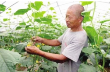 天津武清区高村镇田户村：协同“饭碗”端得牢