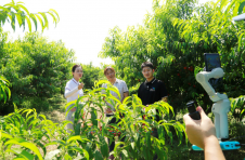 天津宝坻区：舌尖上的夏日 多彩的甜蜜味道