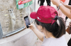 长假首日许多市民来到天津动物园游乐休闲