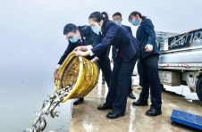 天津市检二分院：公益诉讼保护渔业资源