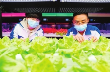 天津市第一百中学打造特色社团 校园“植物工厂”藏着智慧农业
